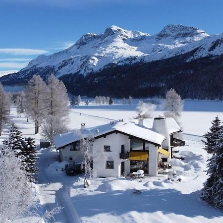 Chesa Suot Ovas Lägenhet Sils Maria Exteriör bild