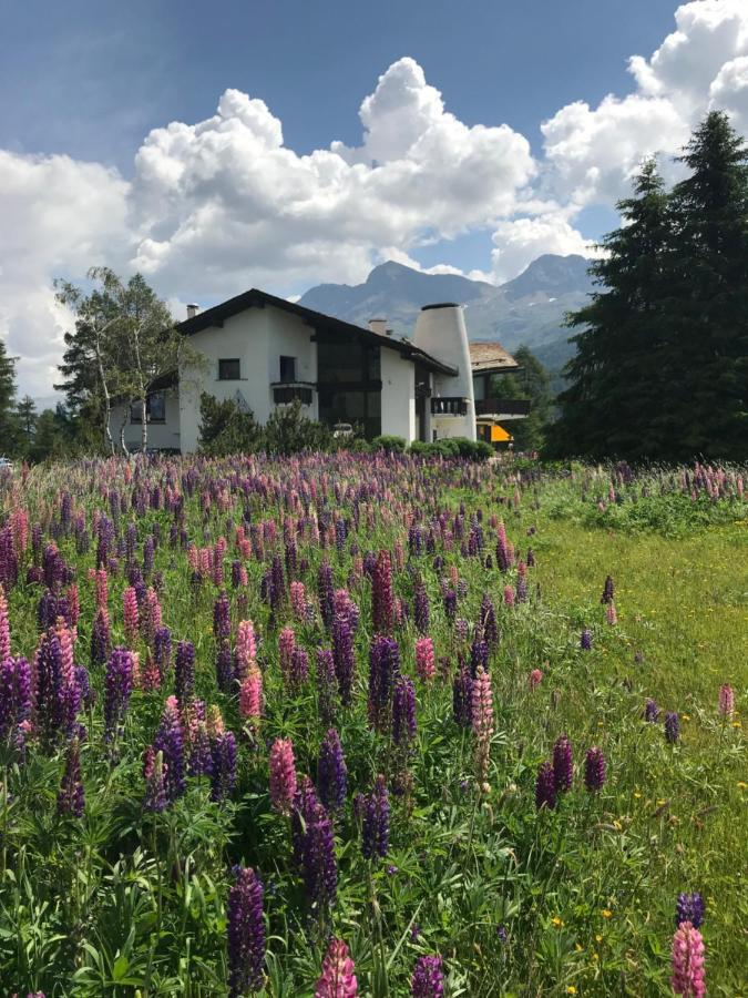Chesa Suot Ovas Lägenhet Sils Maria Exteriör bild