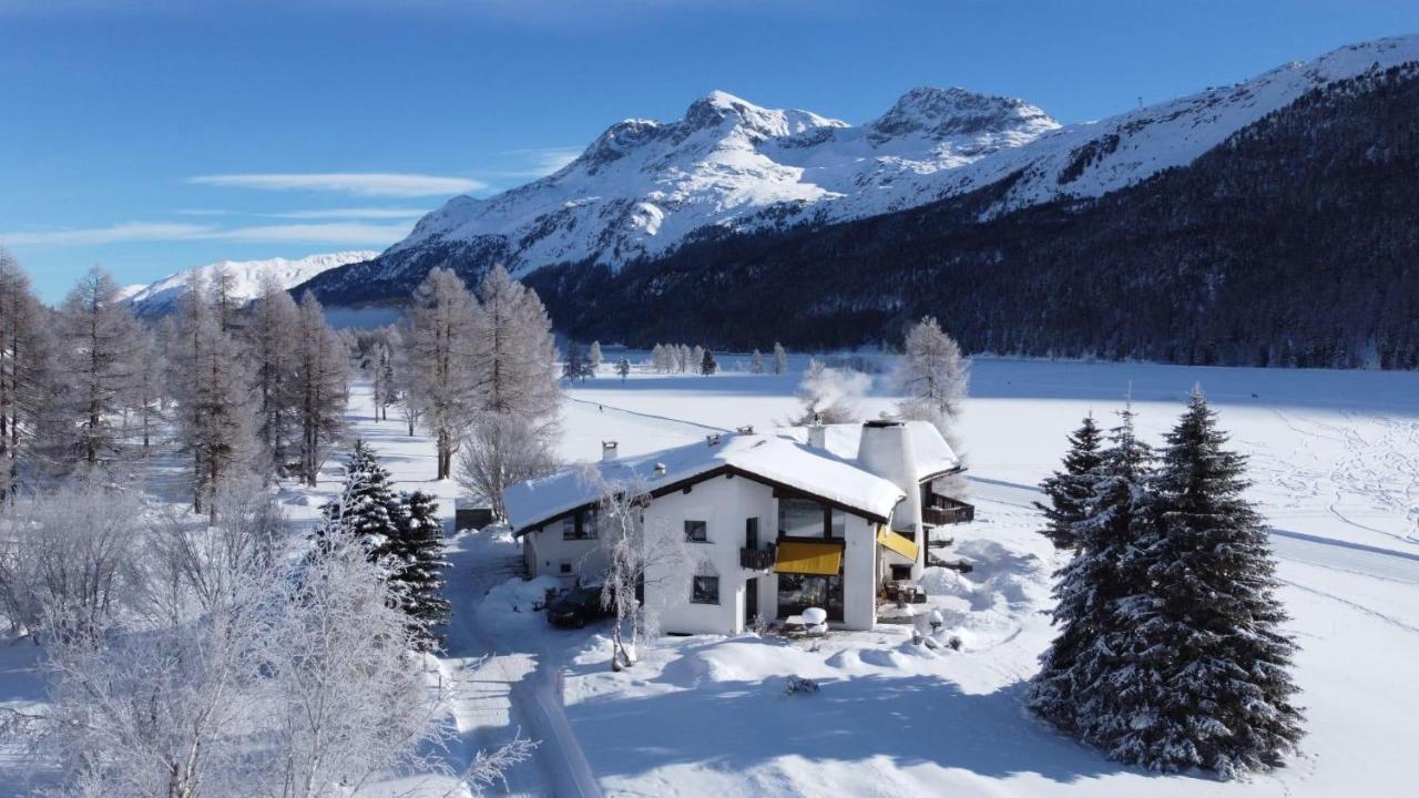 Chesa Suot Ovas Lägenhet Sils Maria Exteriör bild