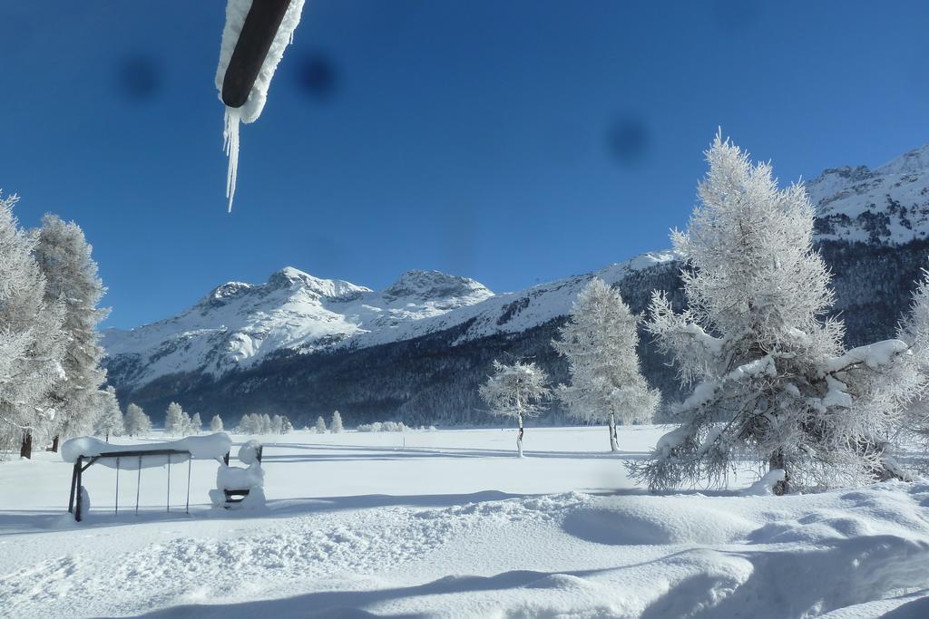 Chesa Suot Ovas Lägenhet Sils Maria Exteriör bild