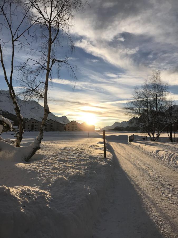 Chesa Suot Ovas Lägenhet Sils Maria Exteriör bild