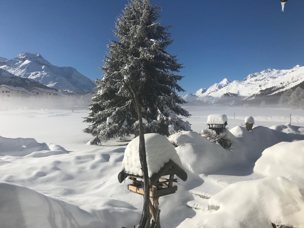 Chesa Suot Ovas Lägenhet Sils Maria Exteriör bild